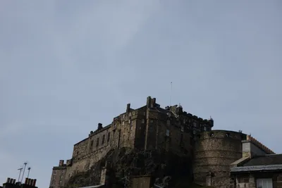 DSC_7375 (Large).JPG